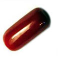 img/coral-salmon.jpg
